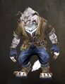 Adventurous Cat Outfit charr female front.jpg