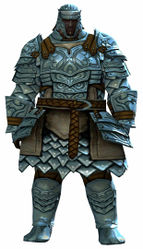 Banded armor norn male front.jpg