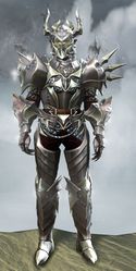 Requiem armor (heavy) sylvari male front.jpg