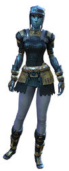 Chainmail armor sylvari female front.jpg