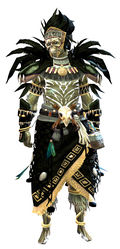 Tribal armor sylvari male front.jpg