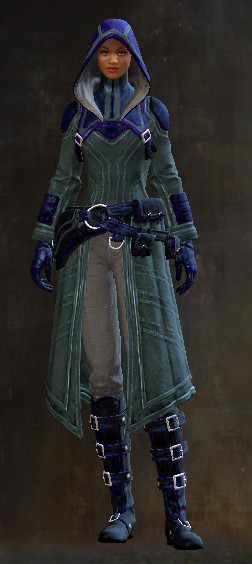 File:Traveler's Outfit human female front.jpg