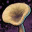 Sawgill Mushroom.png