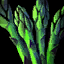 Asparagus Spear.png