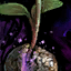 File:Mysterious Seedling.png
