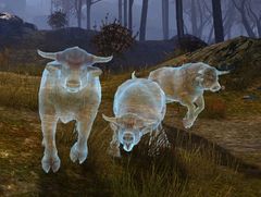 Ghost Cow.jpg