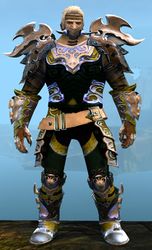 Mistforged Triumphant Hero's armor (medium) norn male front.jpg
