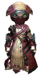 Inquest armor (medium) asura female front.jpg