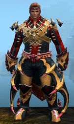 Perfected Envoy armor (light) norn male front.jpg