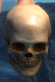 Gaze 1x Mystic Crystal 50x Large Skull