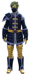 Studded armor sylvari male front.jpg