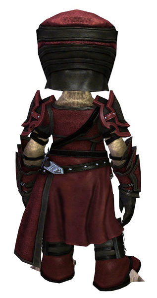 File:Sneakthief armor asura female back.jpg