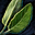 Sage Leaf.png