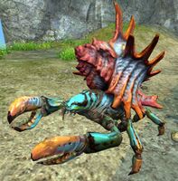 Hermit Crab (Canthan).jpg