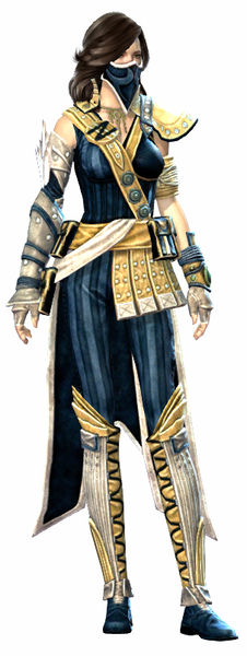 File:Heritage armor (medium) human female front.jpg
