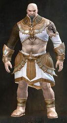 Sanctified armor norn male front.jpg