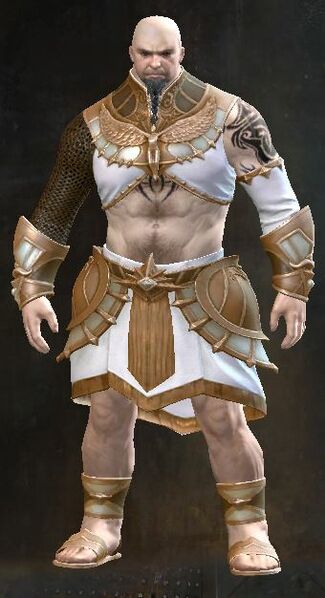 File:Sanctified armor norn male front.jpg