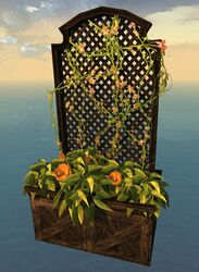 Lattice Planter with Orange Petunias.jpg