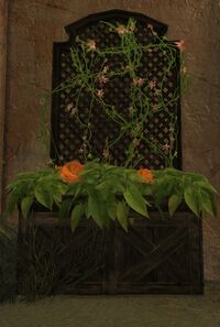 Lattice Planter with Orange Petunias.jpg