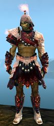 Flamewrath armor sylvari male front.jpg