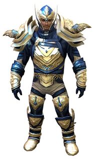 Glorious armor (medium) norn male front.jpg