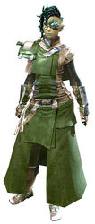 Leather armor sylvari female front.jpg