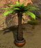 Potted Fern Tree.jpg