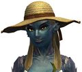 The hat on a sylvari female.