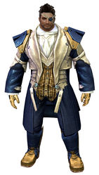 Noble armor norn male front.jpg