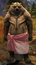 Brown Lowland Kodan (pink towel).jpg