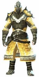 Emblazoned armor norn male front.jpg