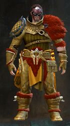 Rift Hunter armor norn male front.jpg