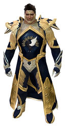Guild Watchman armor norn male front.jpg