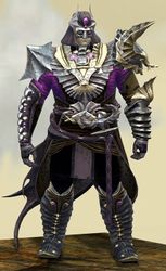 Funerary armor (medium) norn male front.jpg