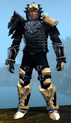 Perfected Envoy armor (medium) norn male front.jpg