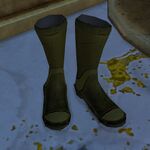 The pair of boots found at the end of the Adventure