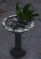 Tranquil Birdbath.jpg