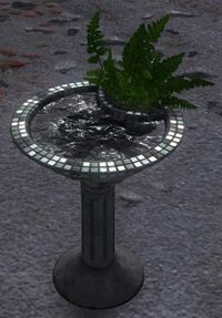 Tranquil Birdbath.jpg