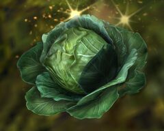 Wild Cabbage.jpg