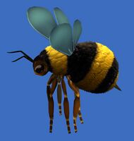 Mini Janthiri Bee.jpg