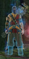 Luxon Guard Spirit (male).jpg