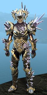 Blossoming Mist Shard armor (heavy) human male front.jpg