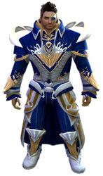 Phoenix armor norn male front.jpg