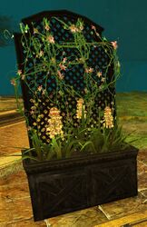 Lattice Planter with Loosestrife.jpg