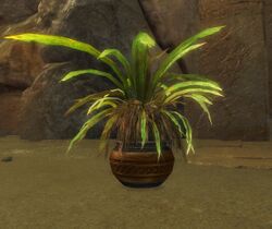 Potted Jungle Grass.jpg