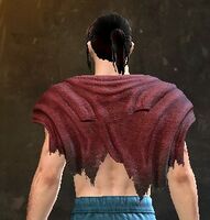 Vagabond's Shoulder back.jpg