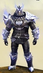 Requiem armor (medium) norn male front.jpg