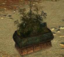 Rectangular Planter.jpg