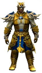 Triumphant armor (light) norn male front.jpg