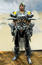Warbeast armor (heavy) human male front.jpg